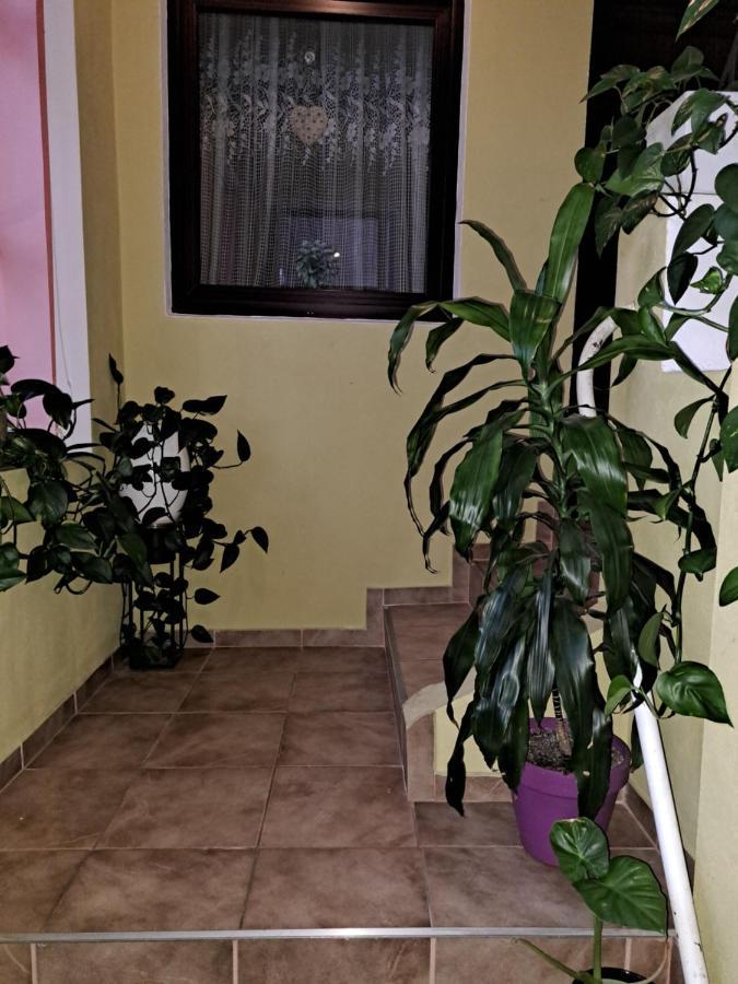 La Bibicu Hotell Agnita Exteriör bild